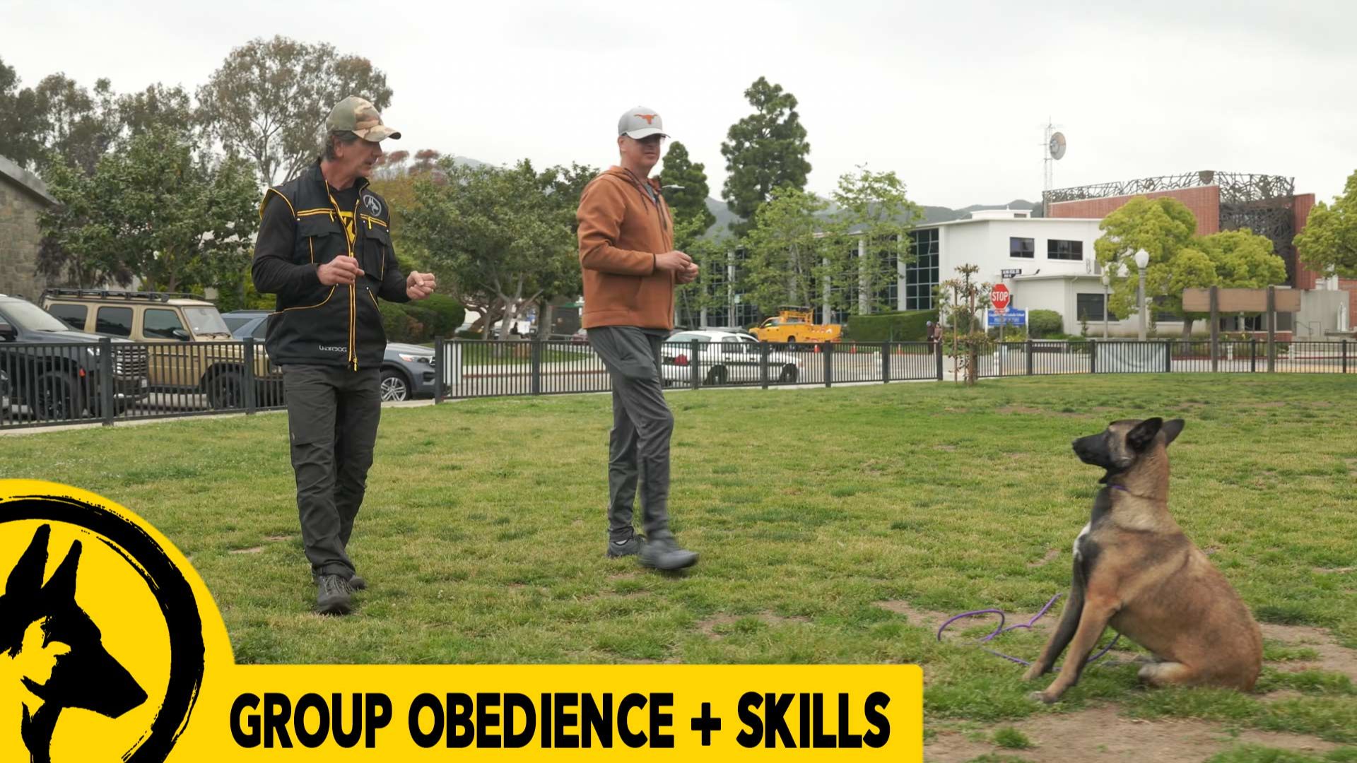 Group Obedience / Canine Good Citizen CGC 1
