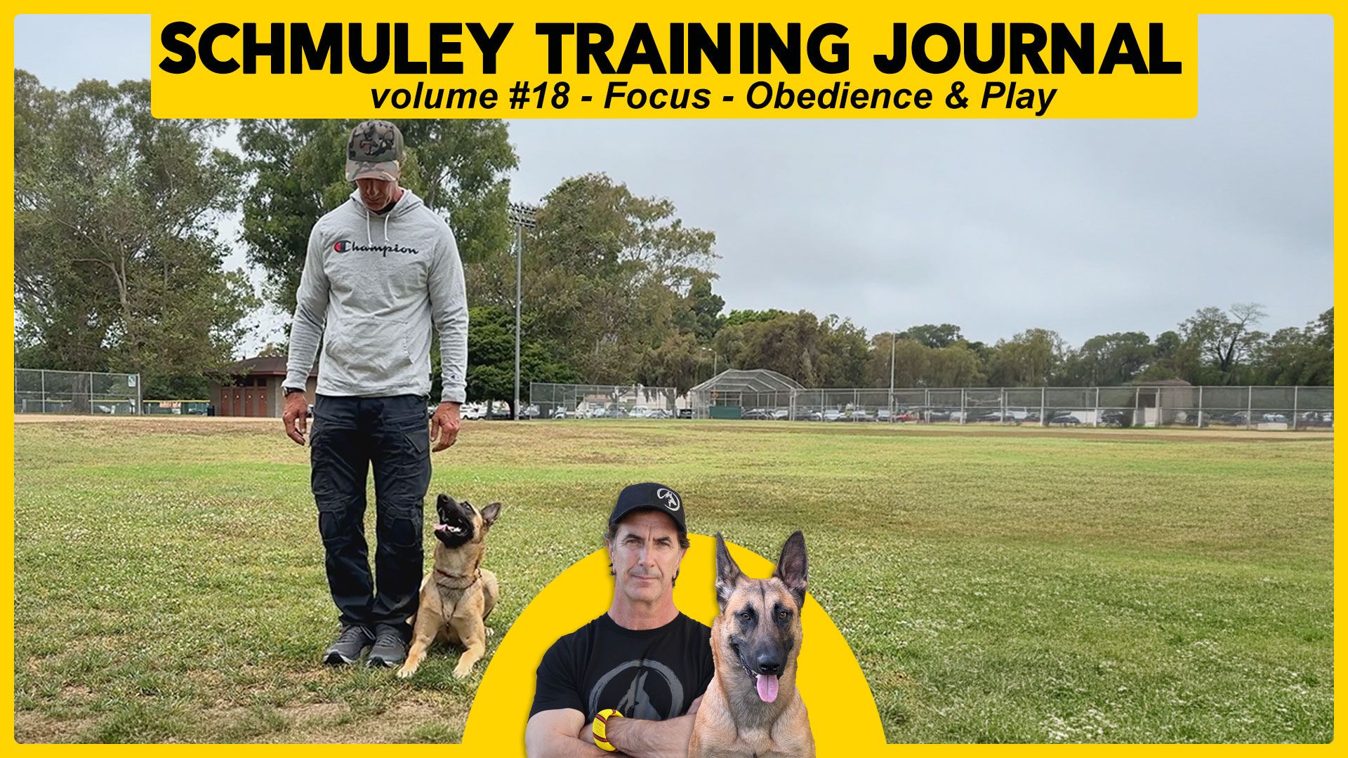Schmuley Journal 18 - Focussed Obedience, Distractions and Tug Play