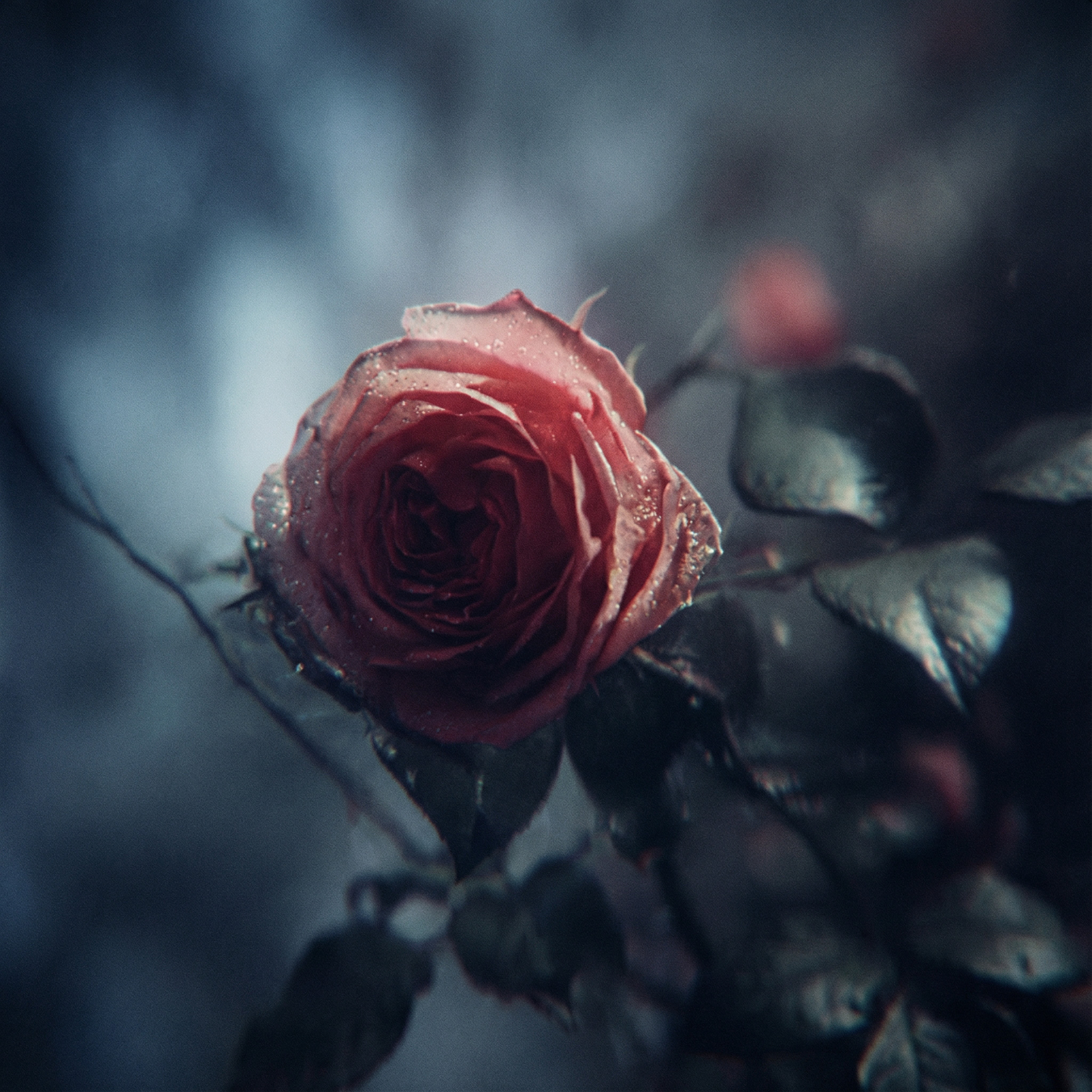 Cinematic still 03