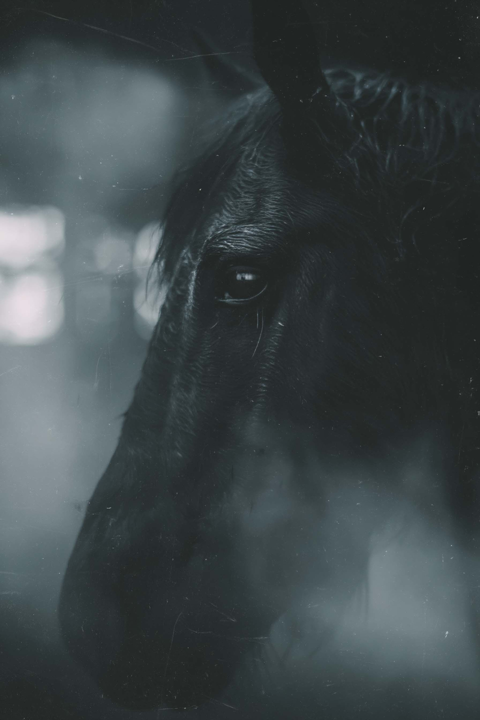 Cinematic still 02