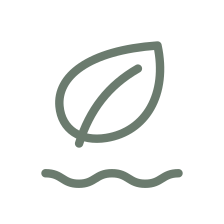 Wellness Retreats