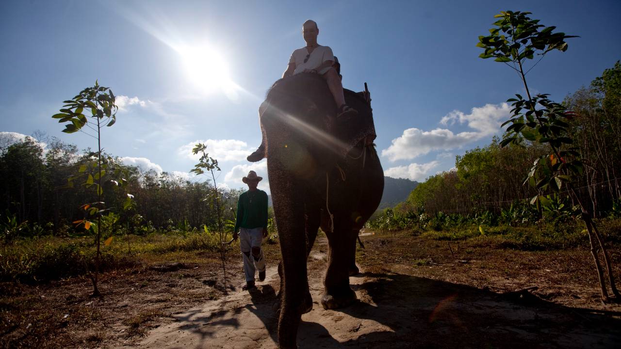 An elephant carrying tourists walks along a dirt path beside a handler in Phuket, Thailand.