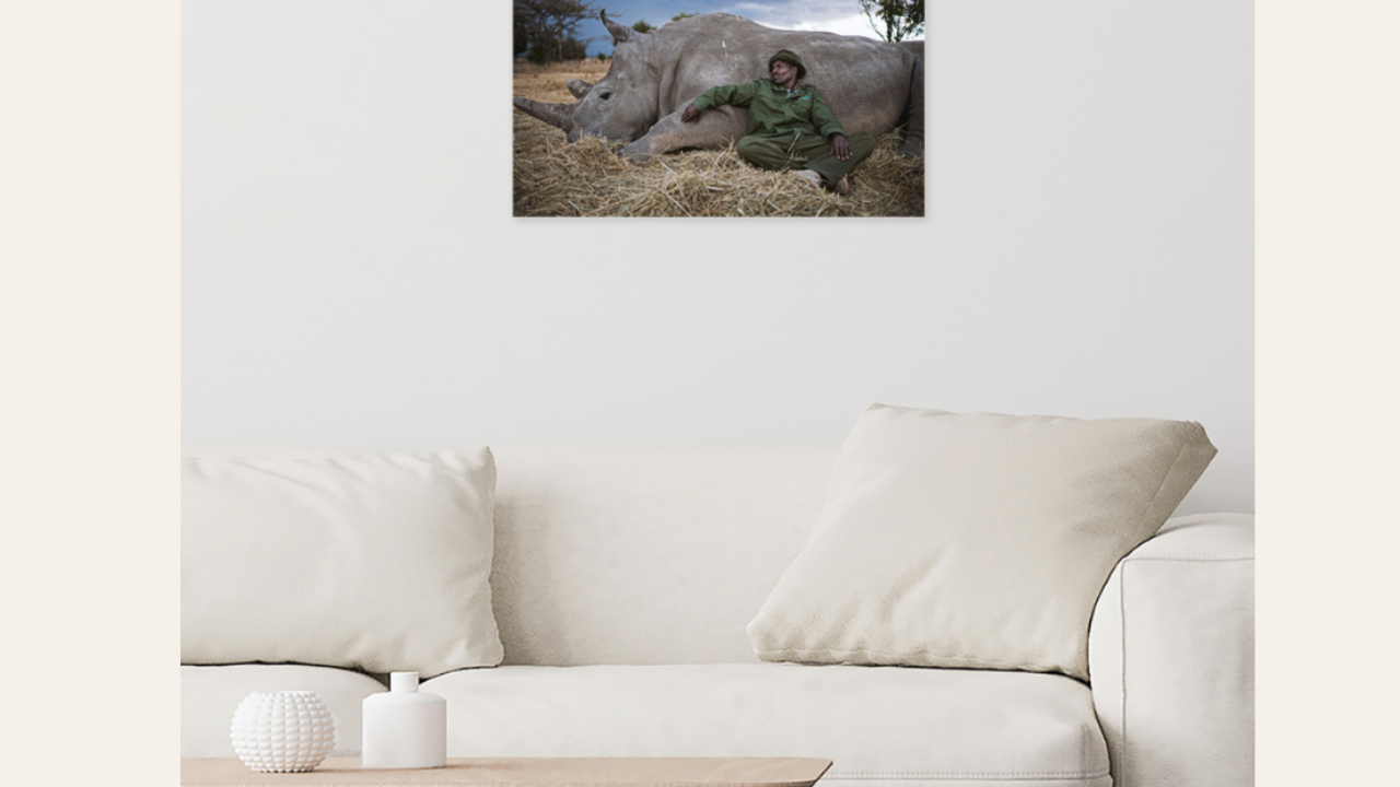 Photography print displayed on wall - building a print store that sells