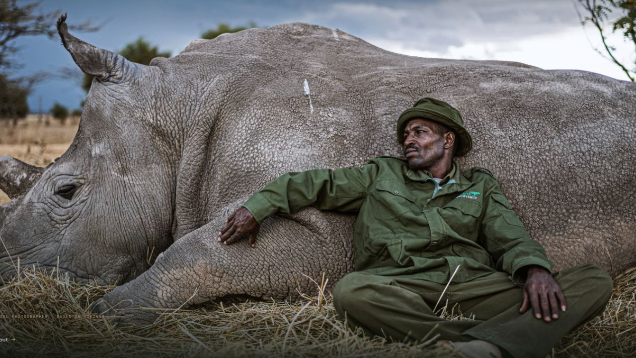 A screenshot of Vietnam-based photographer Justin Mott's website homepage of a man with a rhino. 