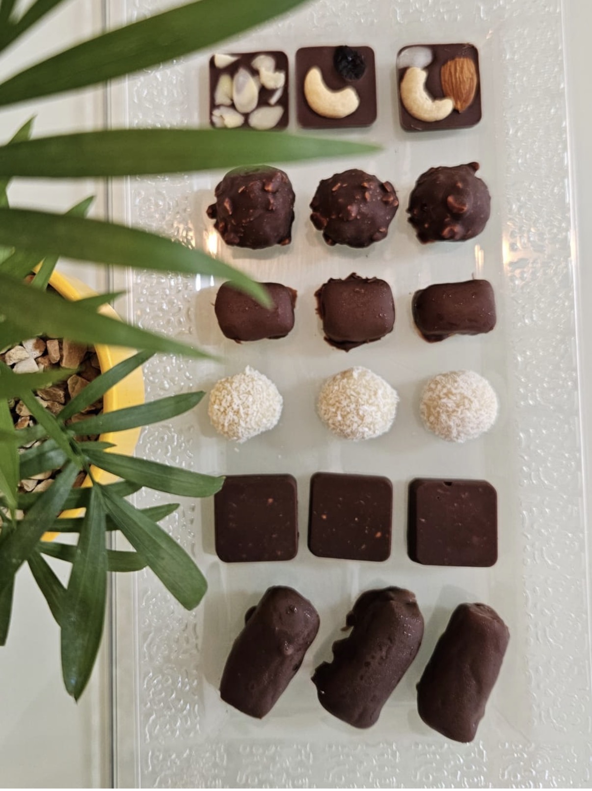 Vegan chocolate treats made by a workshop student