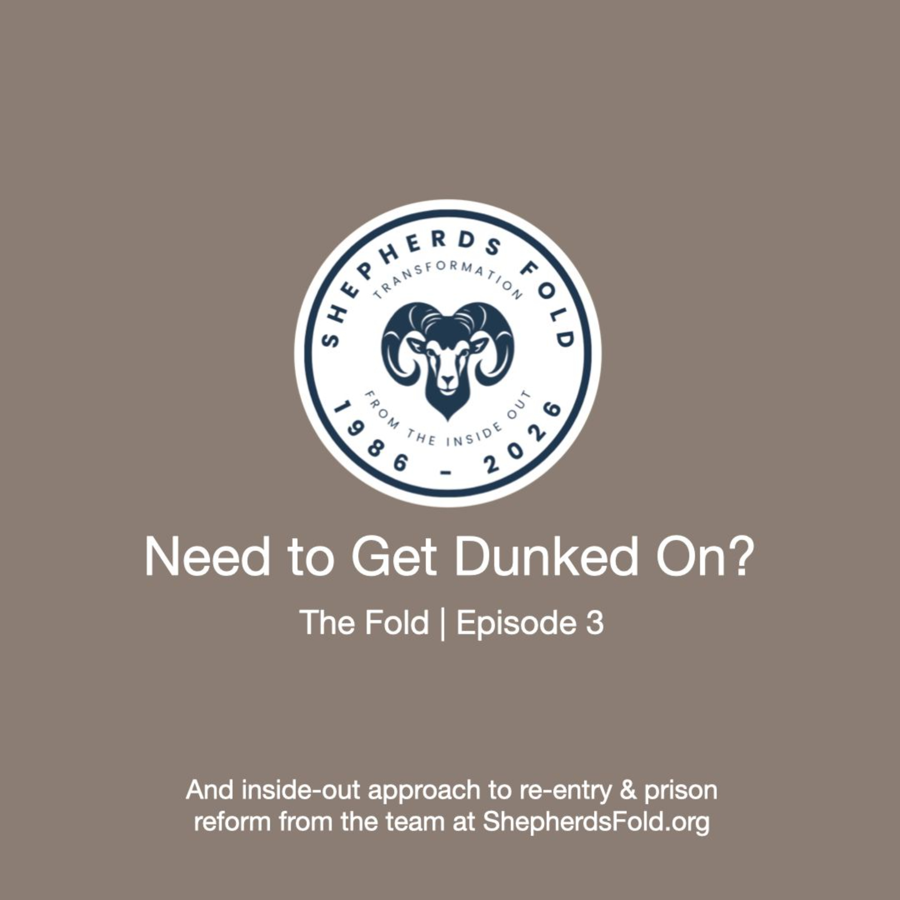 3 | Need to Get Dunked On? episode artwork
