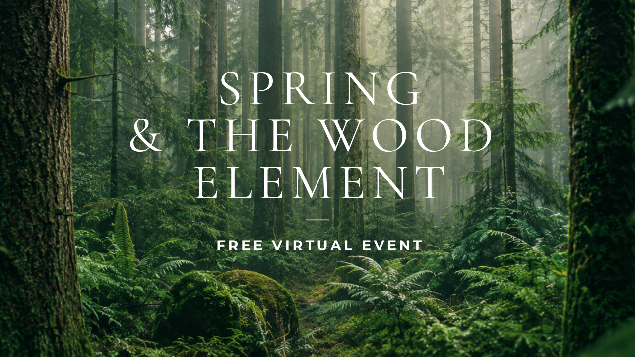 Video Poster Image