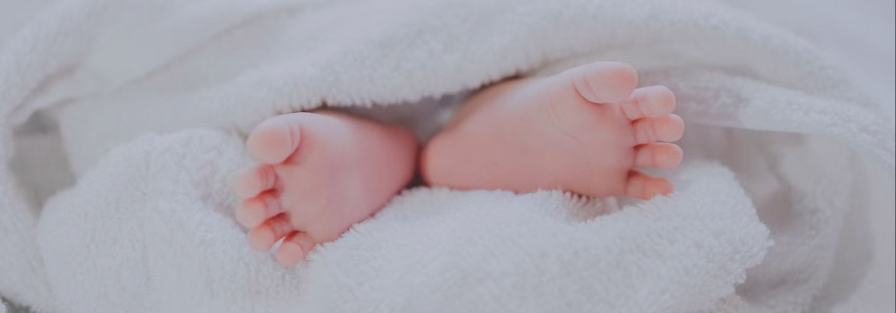 Newborn baby's feet wrapped in a soft blanket