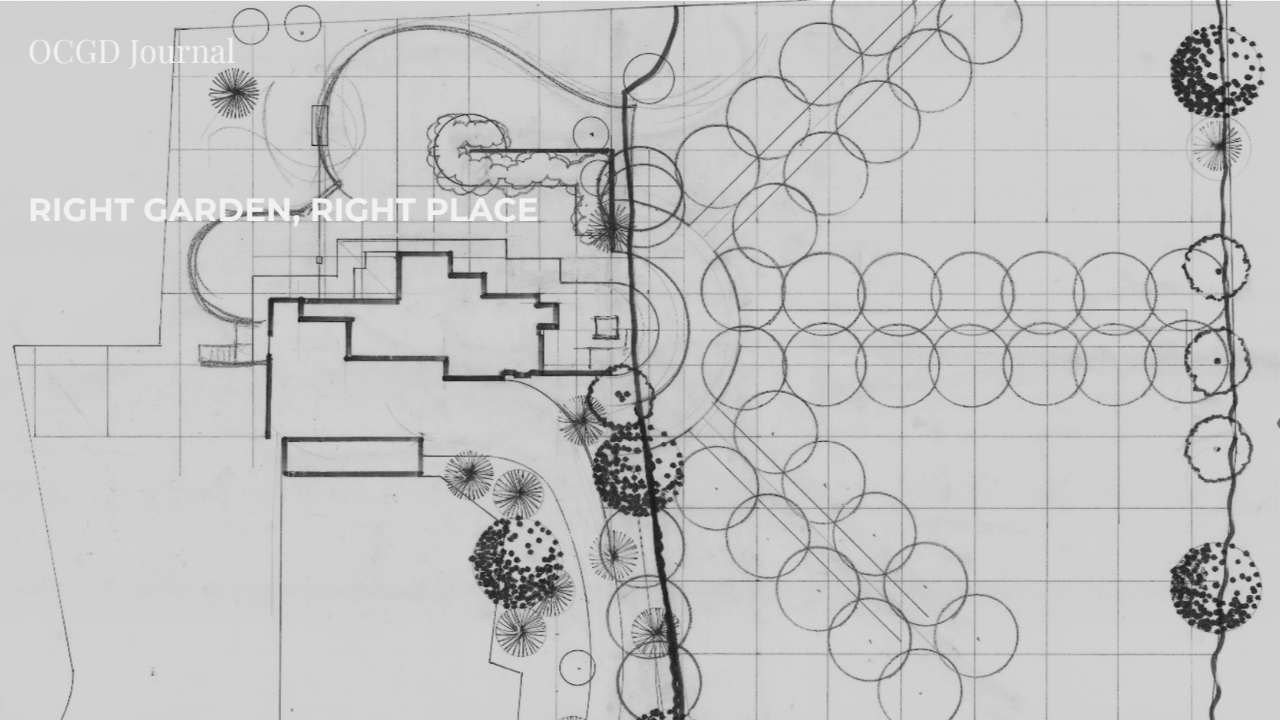 Garden design plan showing how the house and terrace establish the base shape of the garden