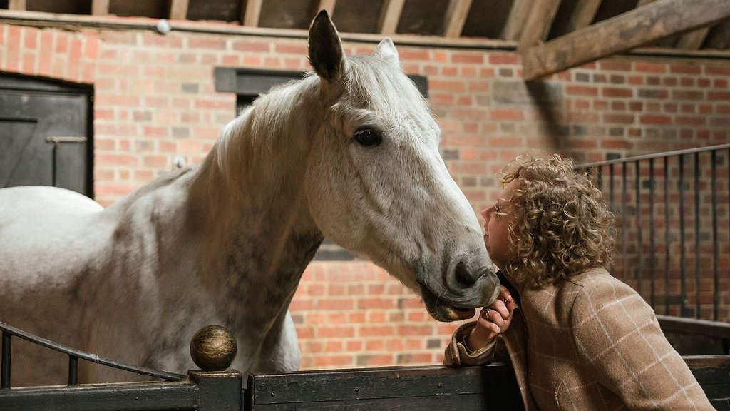 Meeting the horses nose to nose