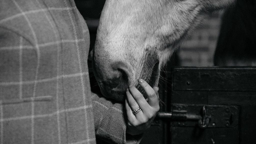 A quiet moment with one of the horses
