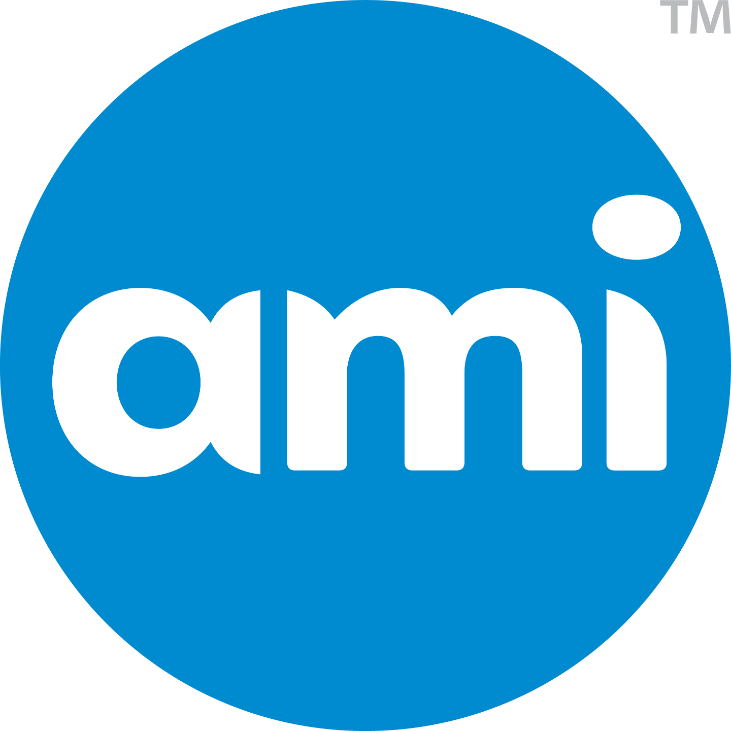 AMI Group
