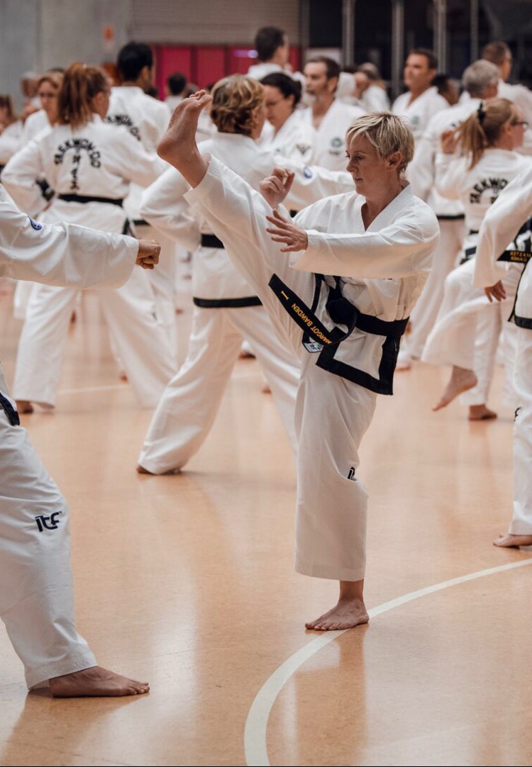 Lessons from martial arts applied to community and public and stakeholder engagement