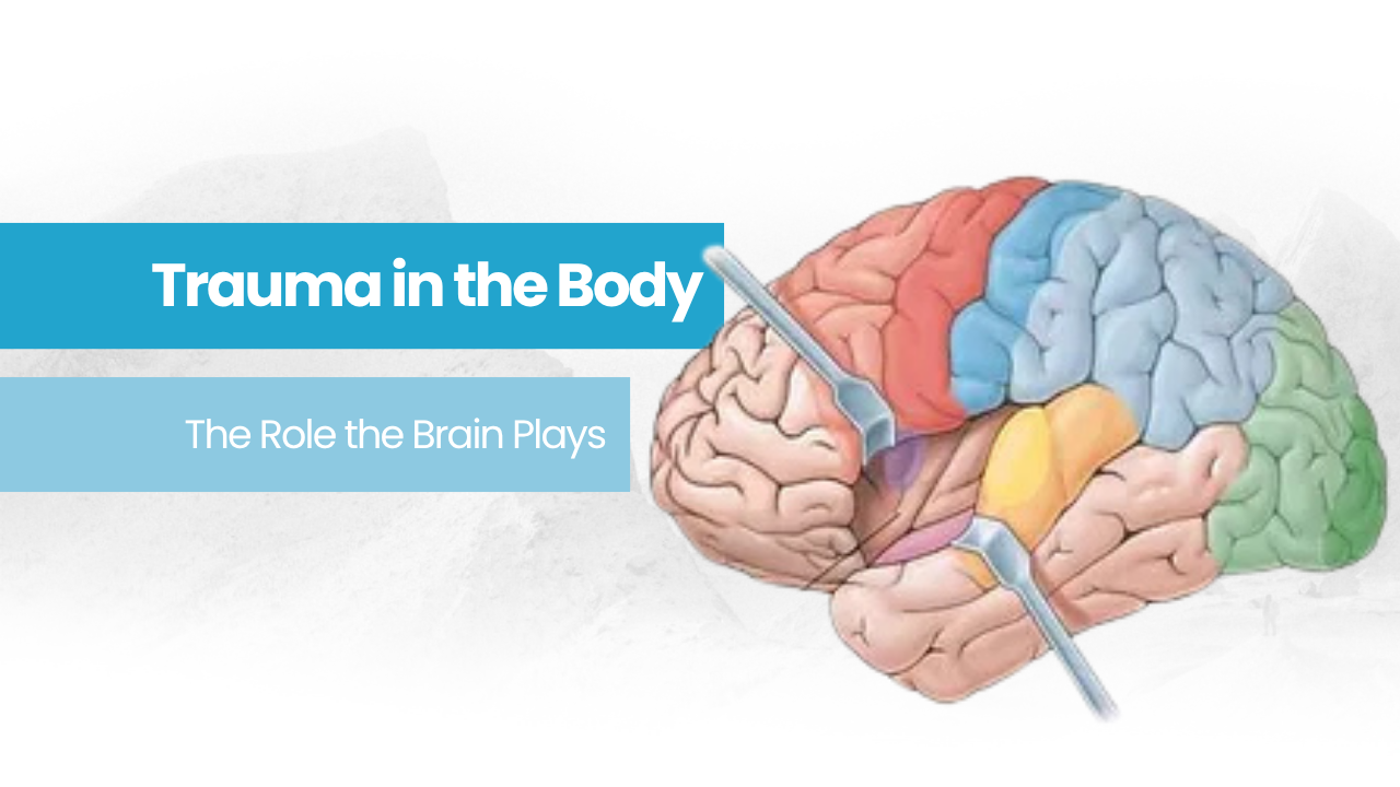 the insular cortex