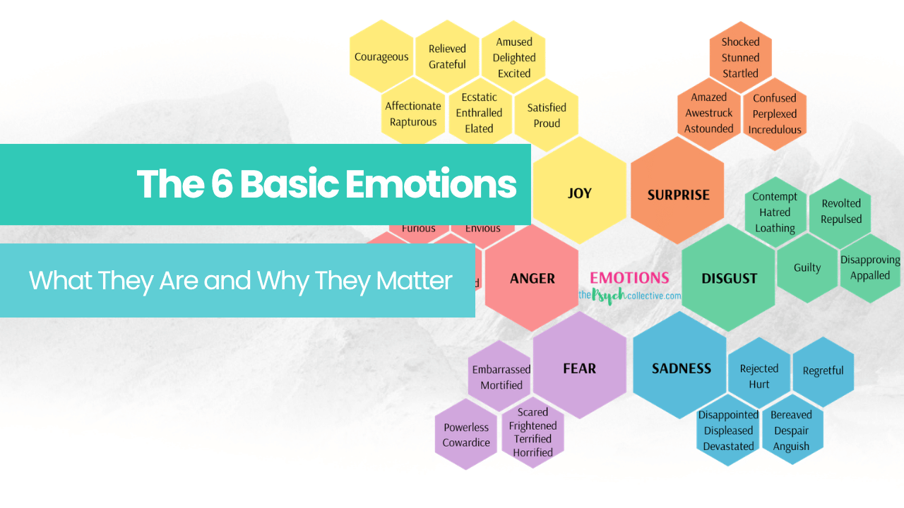 Colorful “Emotions Map” chart with labeled hexagons in a flower-like layout around the center