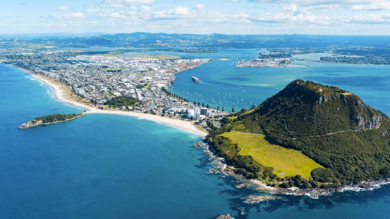 Digital Marketing Training Tauranga