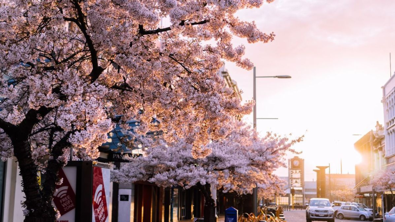 Best Digital Marketing Courses Invercargill
