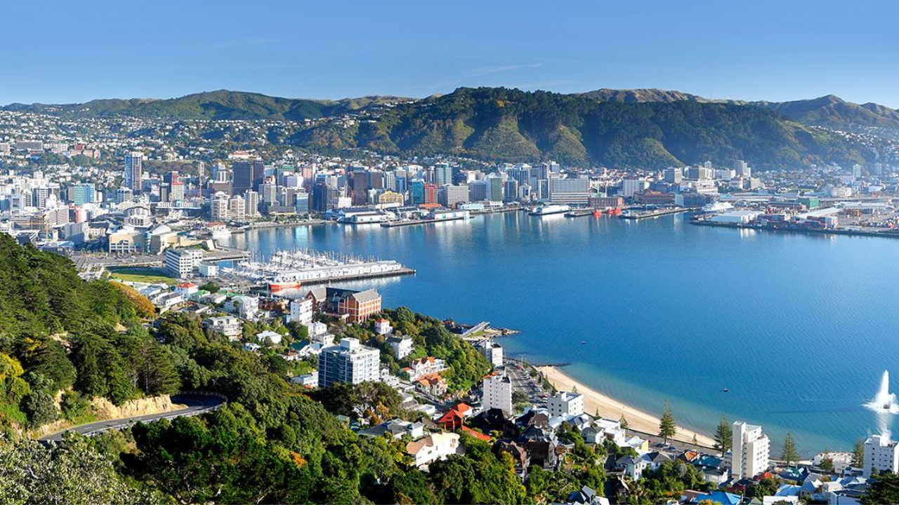 Best Digital Marketing Courses Wellington