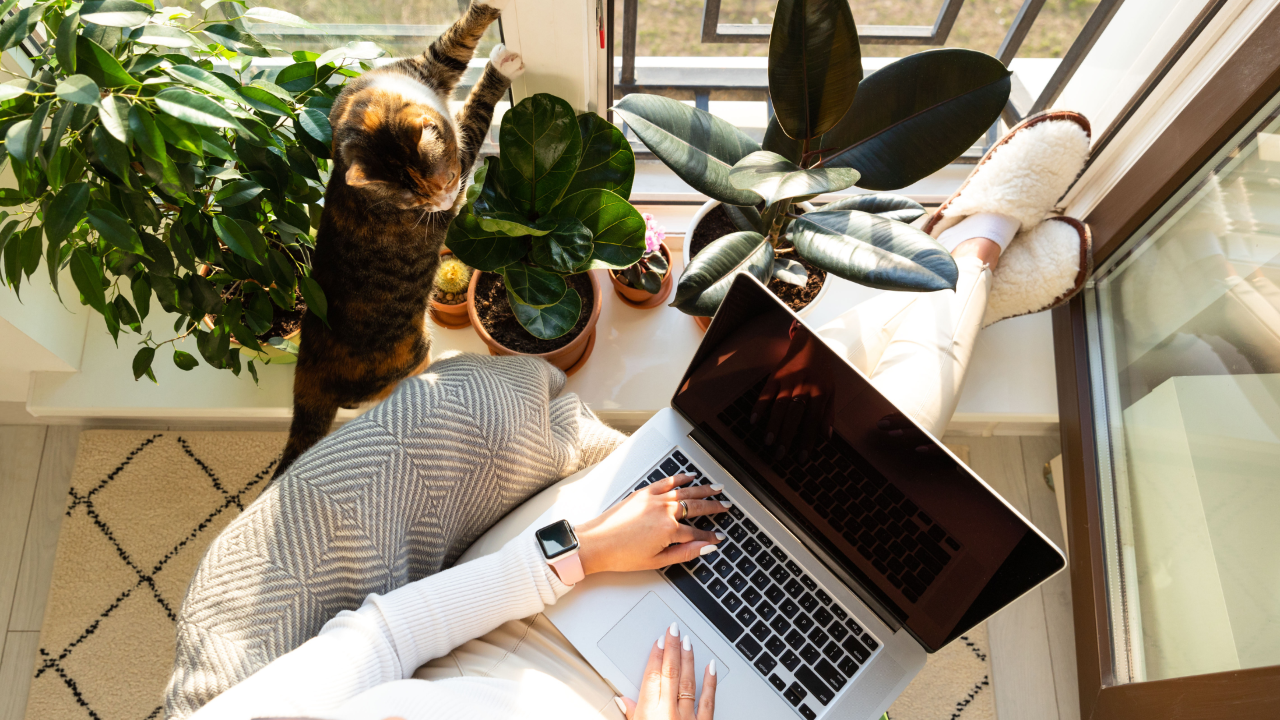 Women in Tech