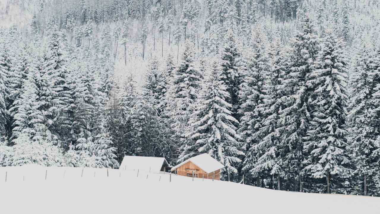 Combating Seasonal Depression