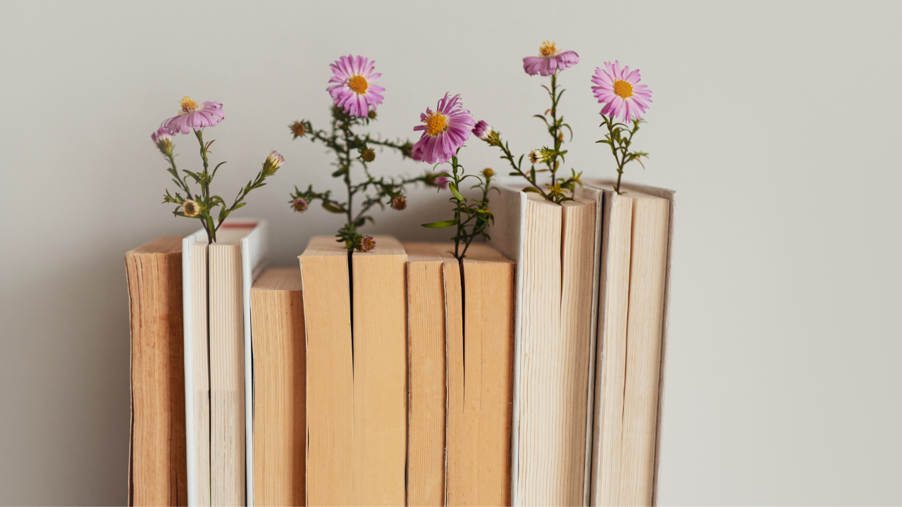 Retention Marketing Strategies