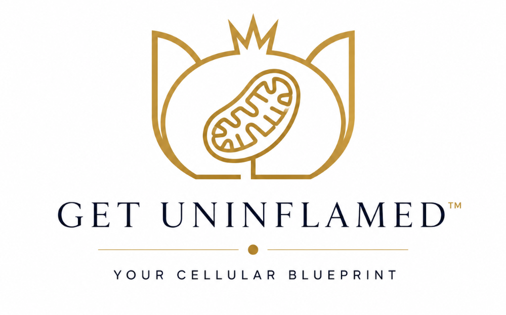 Header Logo