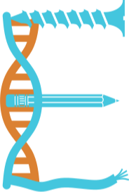 Header Logo