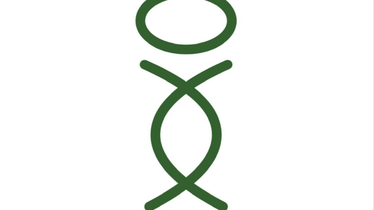 Header Logo