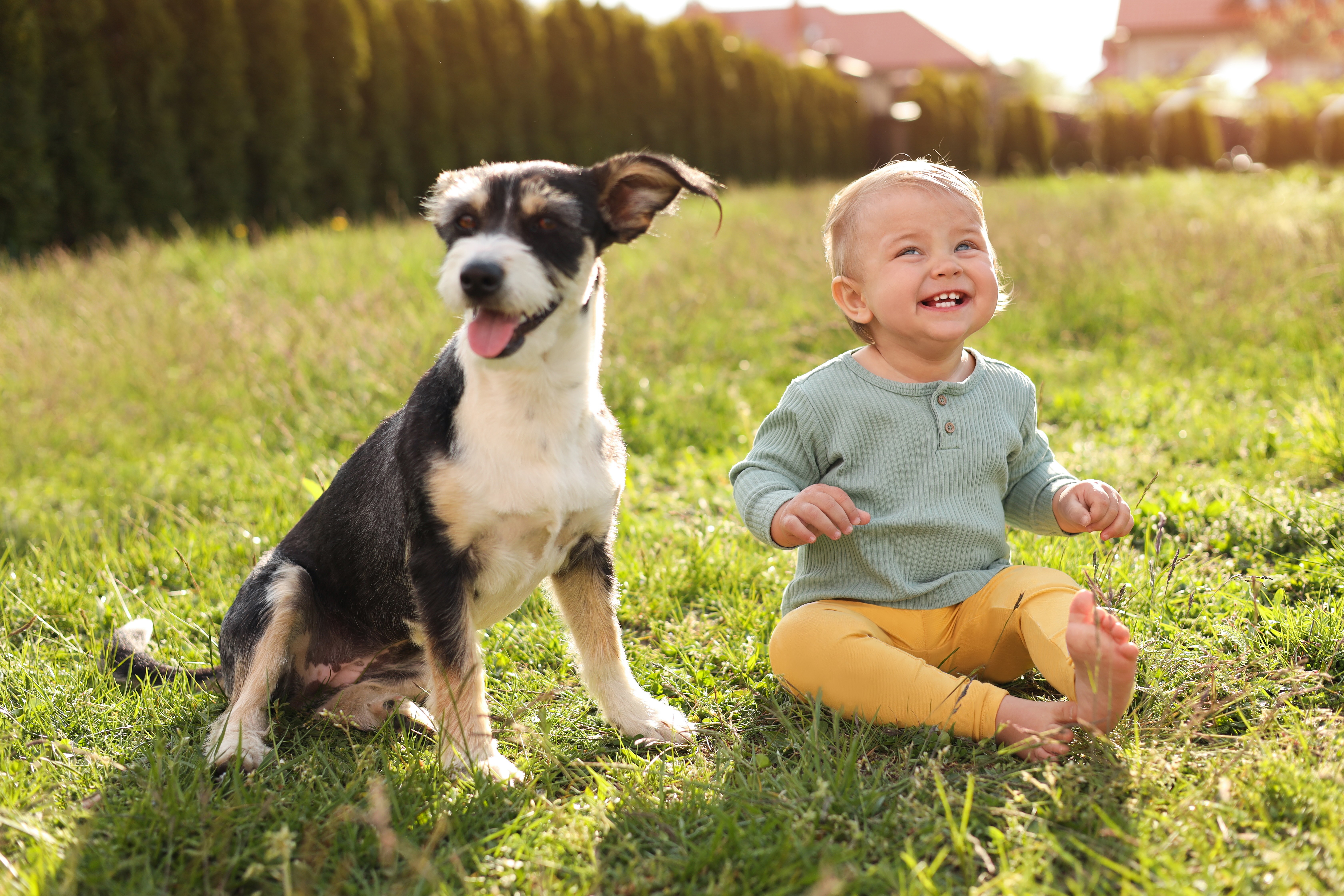 Baby resting safely beside a calm family dog