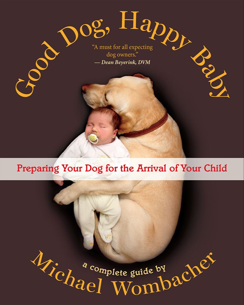 Good Dog, Happy Baby book cover