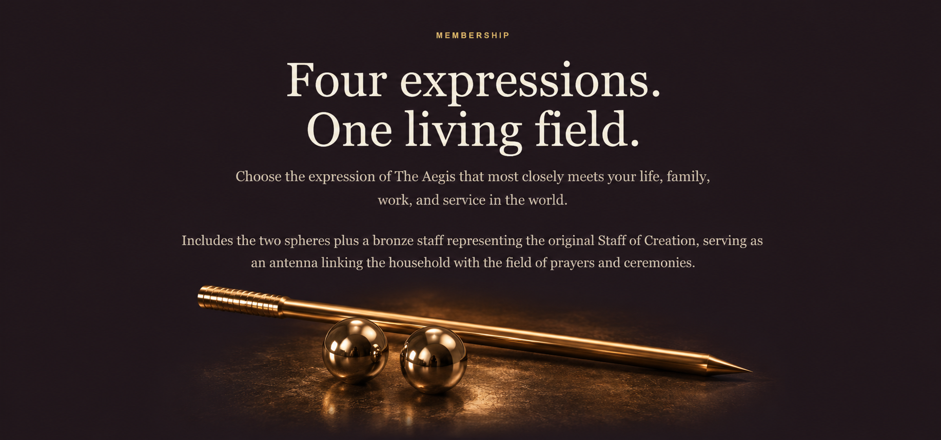 Four expressions. One living field. The Aegis membership with the Staff of Creation and two spheres.