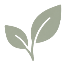 CFO For Good nonprofit financial consulting