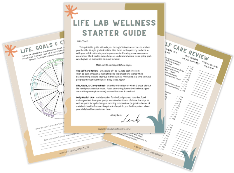 Free Life LAB Starter Guide for understanding your body