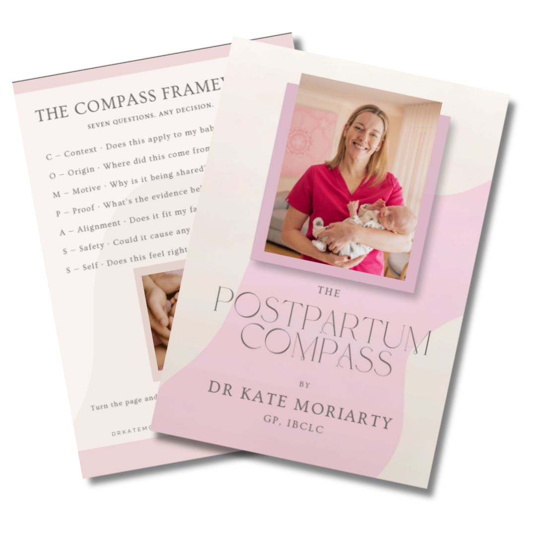 Preview of the free Postpartum Compass guide