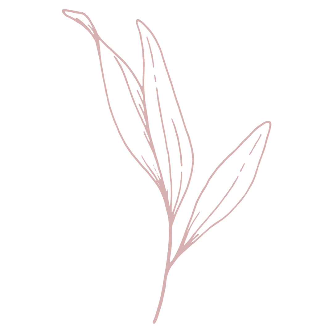 Origin step in the Postpartum Compass