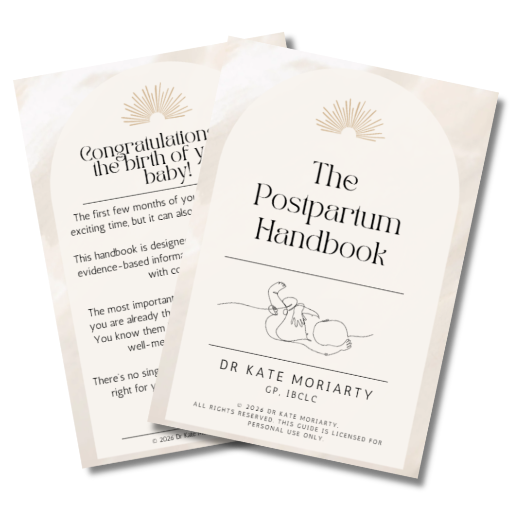 Preview of The Postpartum Handbook