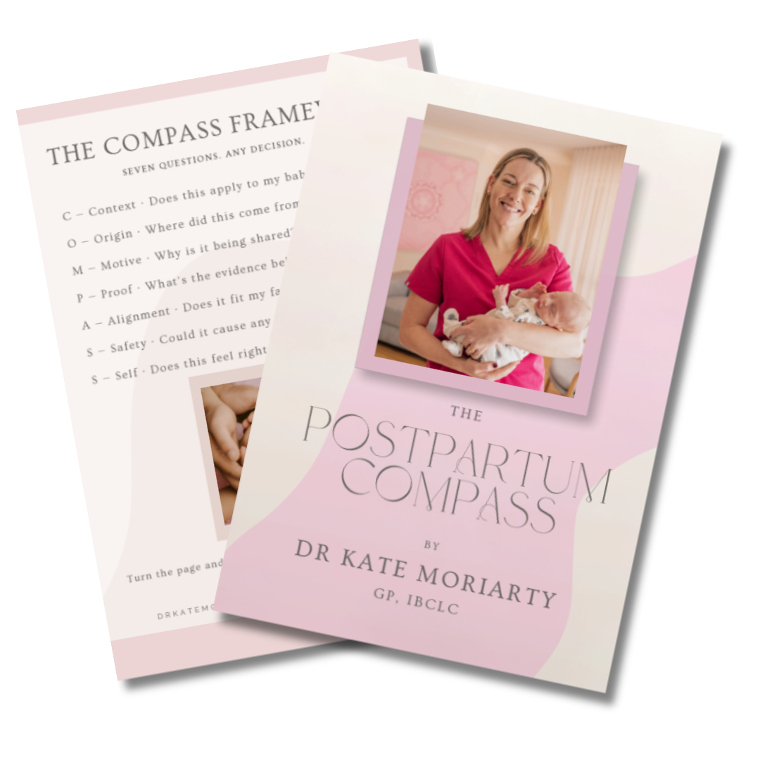 Preview of the free Postpartum Compass guide