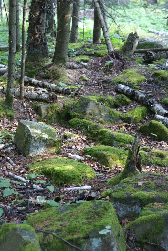 Mossy rocks on Erik's trail
