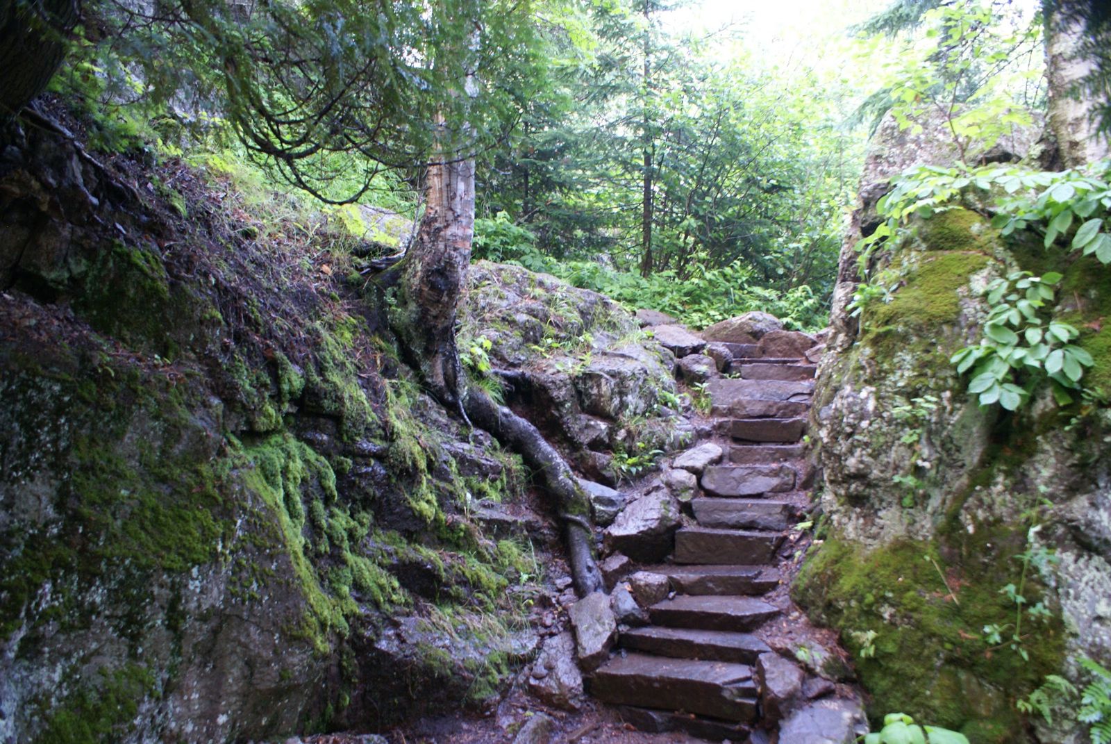 The Reflectory Steps along the Temperance River