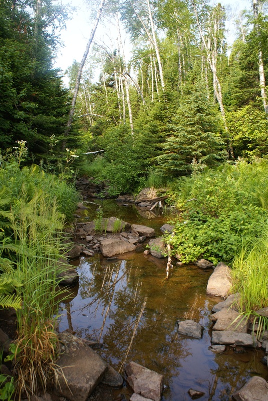 The brook that inspired Stonebrook