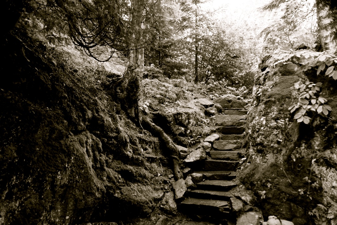 Stone steps along the Temperance River