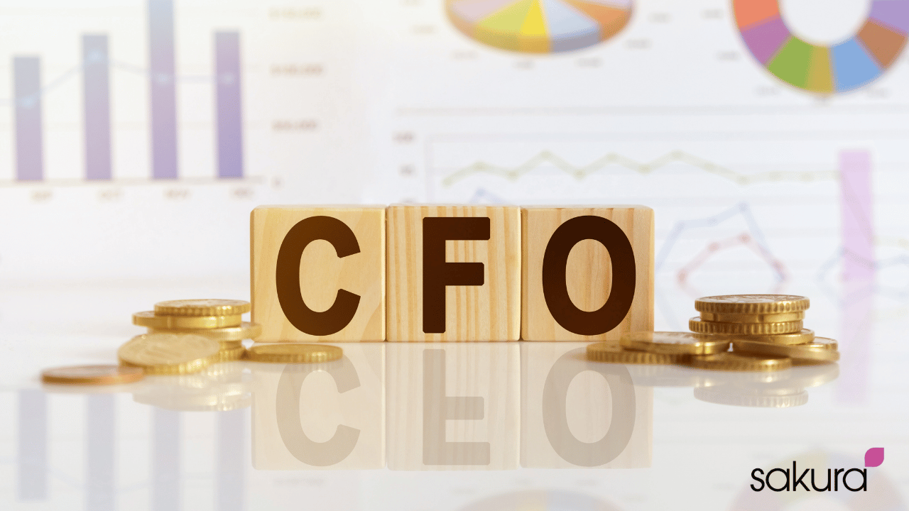 What Does a CFO Actually Do?