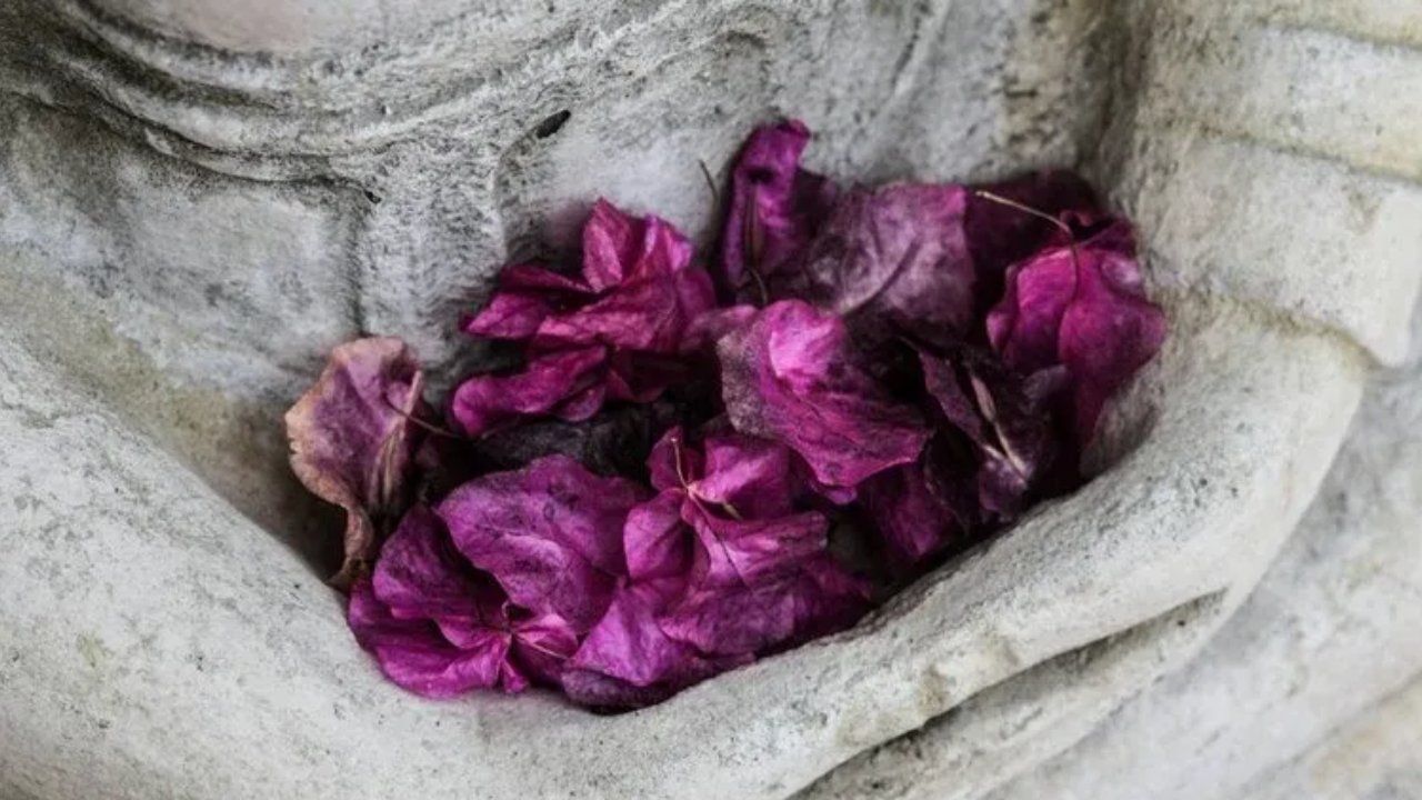 a stone grey statue's hands in meditation with purple flowers
