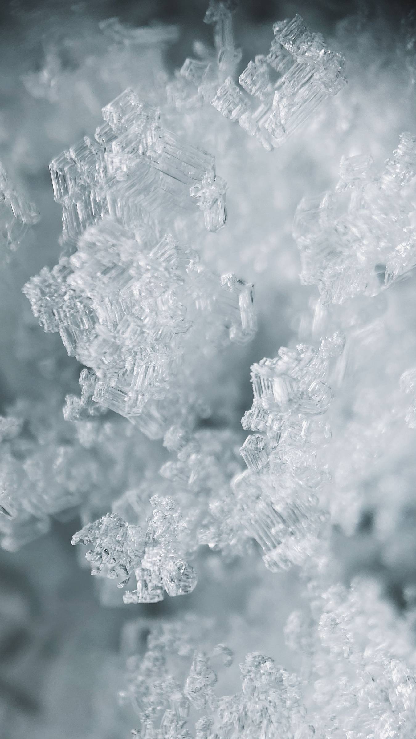 Winter Water landscape