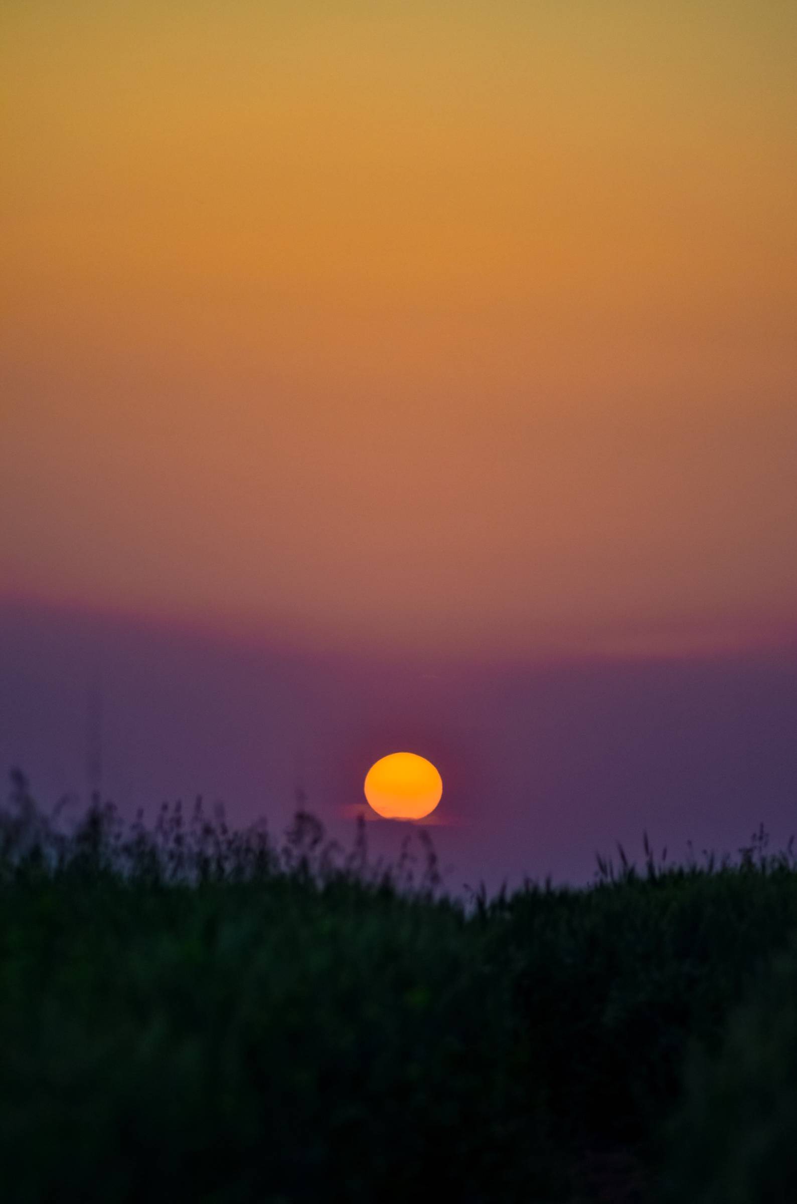 Summer Fire landscape
