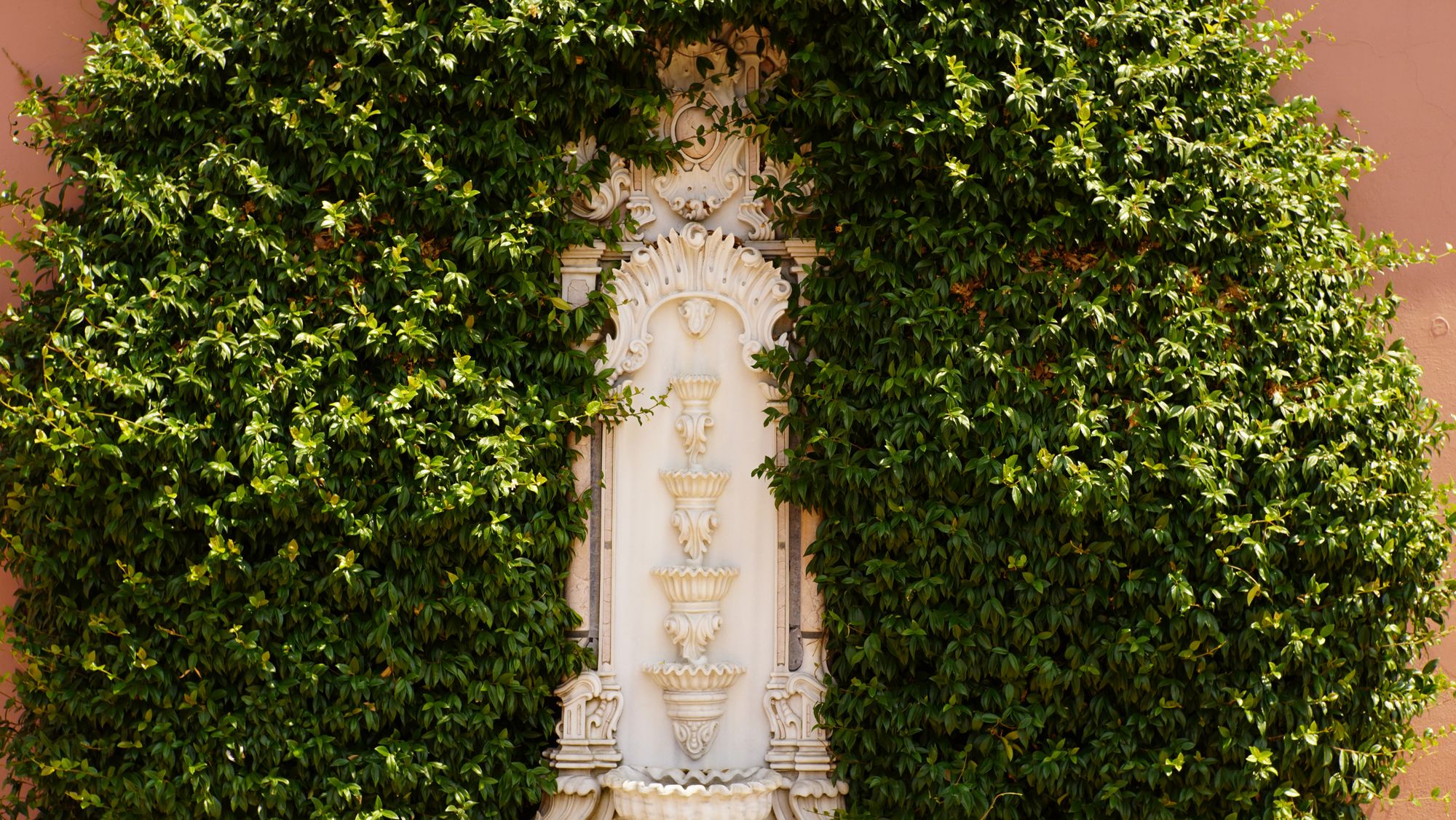 A marble wall fountain set into dense ivy