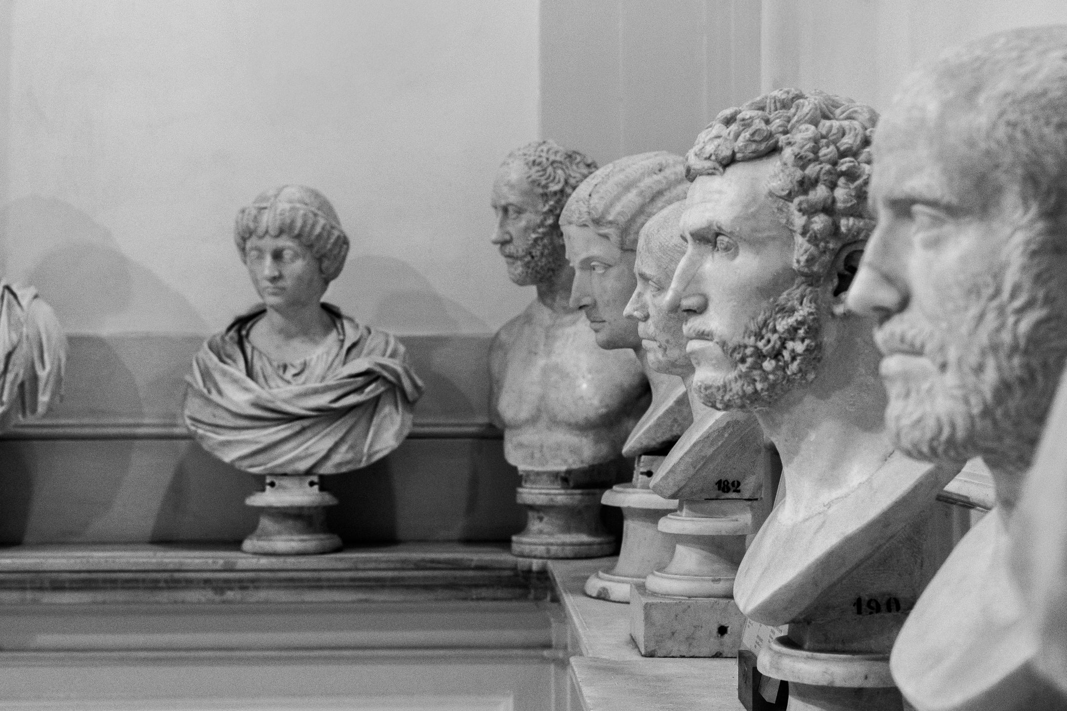 A row of Roman portrait busts along a gallery wall, each face different.