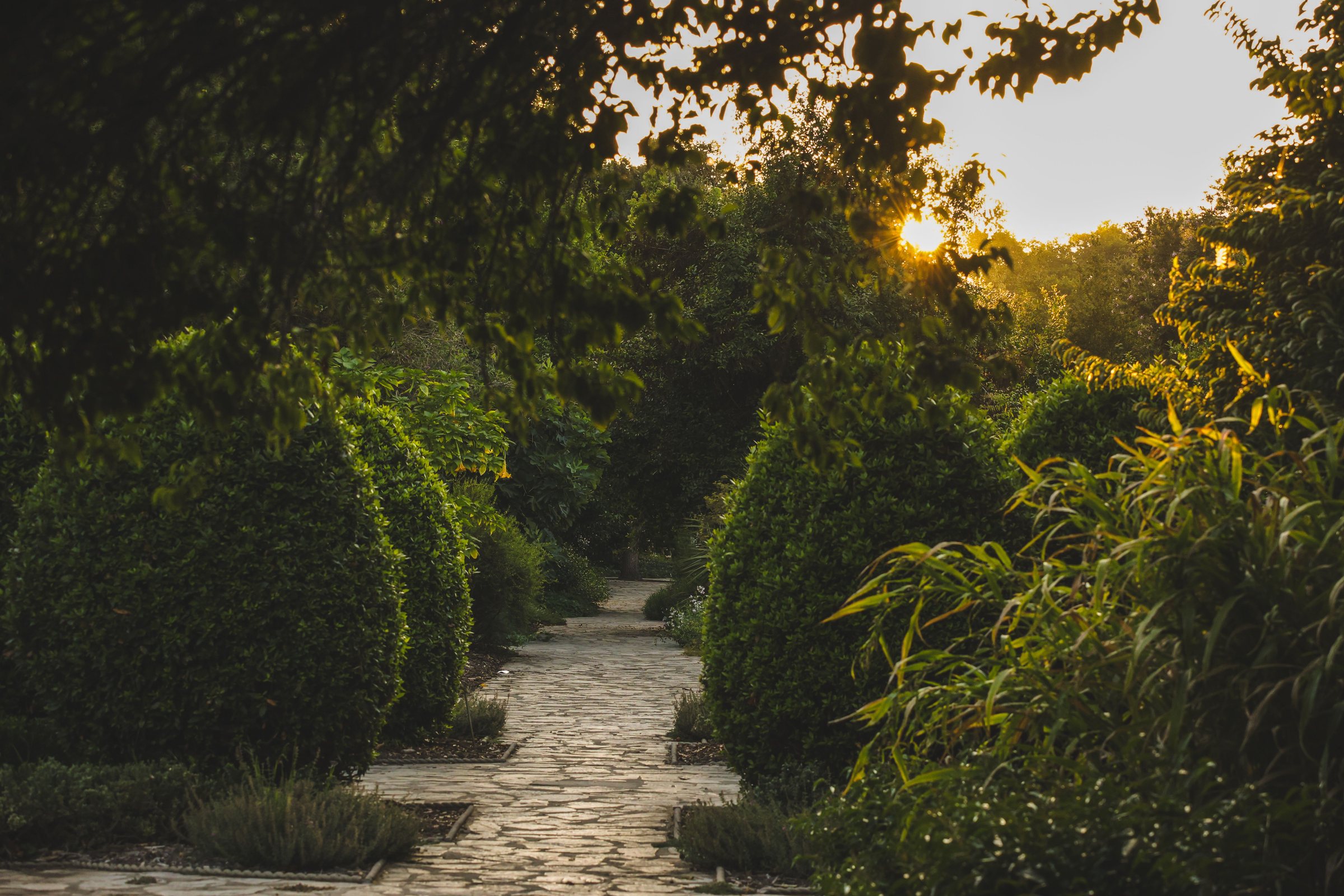 A stone path through clipped hedges, opening toward low evening light
