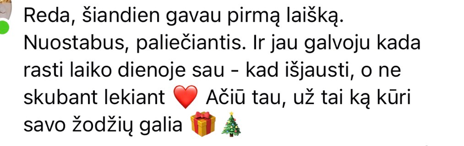 Atsiliepimas apie 24 dienų laiškų mentorystę