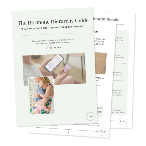 Mockup of The Hormone Hierarchy Guide by Dr. Alana, showing the guide cover and inside pages